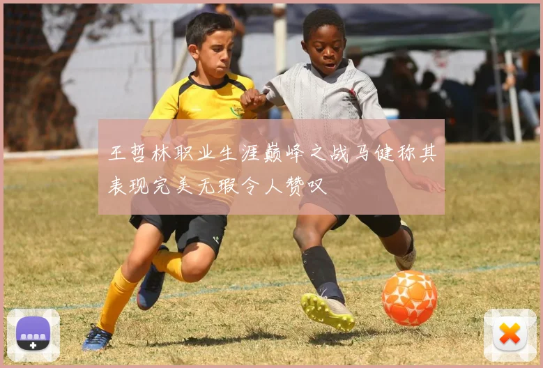 王哲林职业生涯巅峰之战马健称其表现完美无瑕令人赞叹